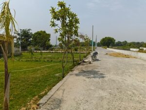 Free hold plots near Jewar International Airport with bank loan ( Sector 17 B )